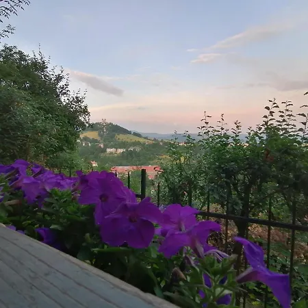 Aura Banska Stiavnica