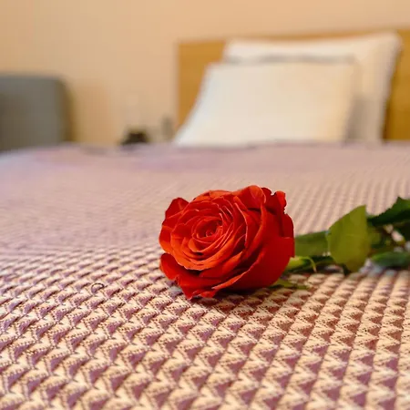 בית הארחה Aura