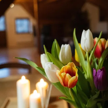 Aura בית הארחה 3*