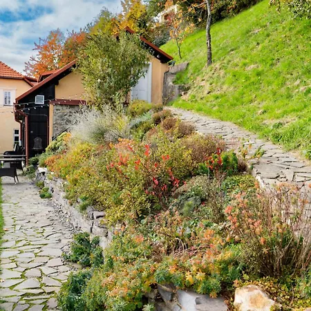 Aura 3* Banska Stiavnica